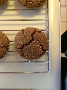 A Spicy Ginger Snap Closeup!
